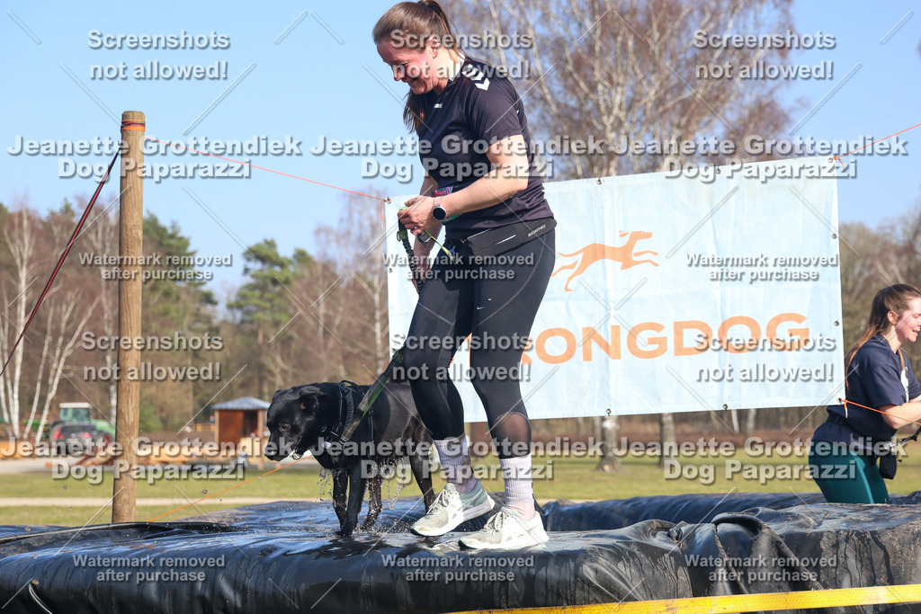 Dog Paparazzi - Strongdog North Mrz26-3378 | Dog Paparazzi Jeanette Grottendiek Fotografie & Videografie - Realisiert mit Pictrs.com