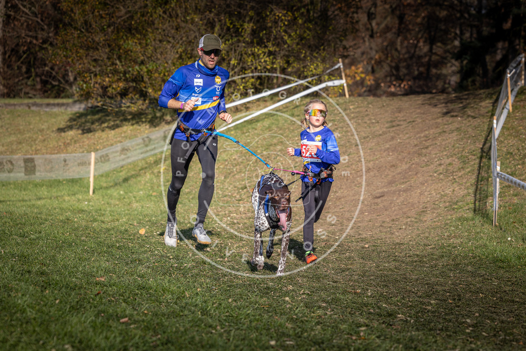 CaniXpix_0L8A8691 | Hundefotografie, Tierfotograf, Pfotenfotografie, Fotoshooting Hund, Hunde Portrait, Hundesport, Hundeportraits, Heideshooting, Hunde, Sportfotograf, Hundefotograf, Turnierhundsport, THS,  - Realisiert mit Pictrs.com