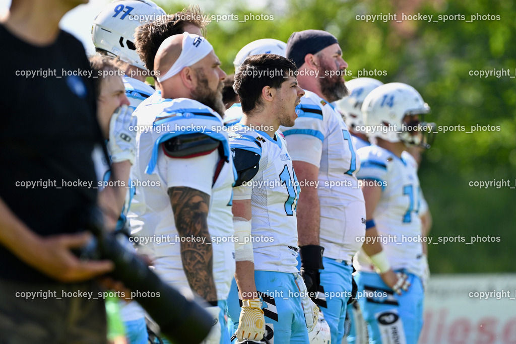 Carinthian Lions vs. Styrian Bears | Carinthian Lions vs. Styrian Bears, Carinthian Lions vs. Styrian Bears am 20.05.2024 in Klagenfurt (ASV Sportplatz), Austria, (Photo by Bernd Stefan)