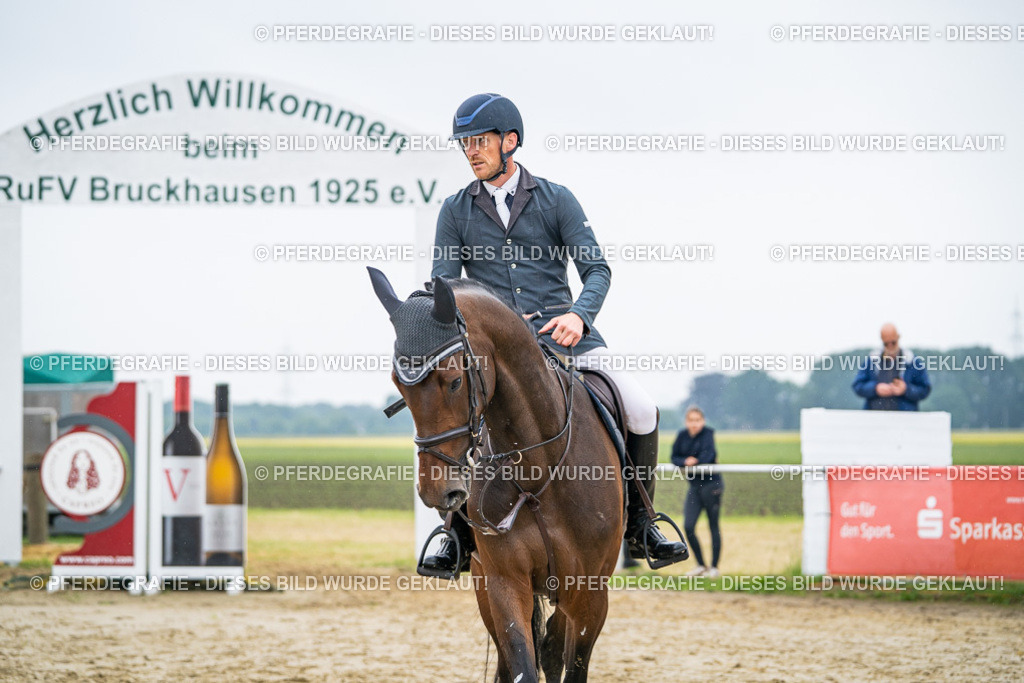 DSC00563 | Pferdegrafie