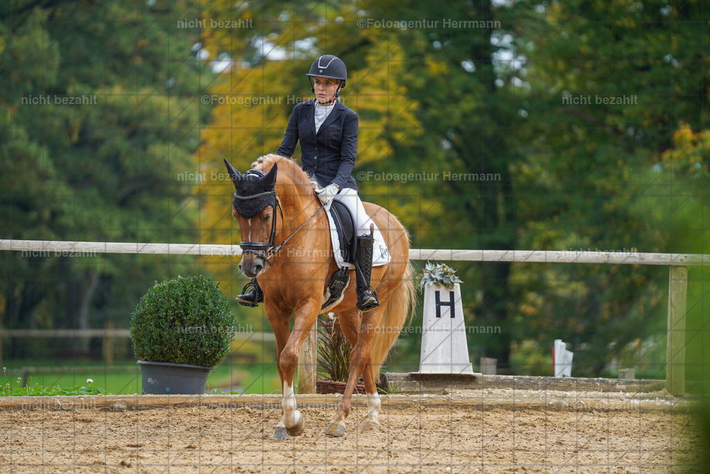 20221007-FAH09832 | Diessen am Ammersee, 2022, Dressur- und Springturnier, Reitsportbilder, Turnierfotografen Bayern, Pferdefotografen, Fotoagentur Herrmann, Turnierbilder