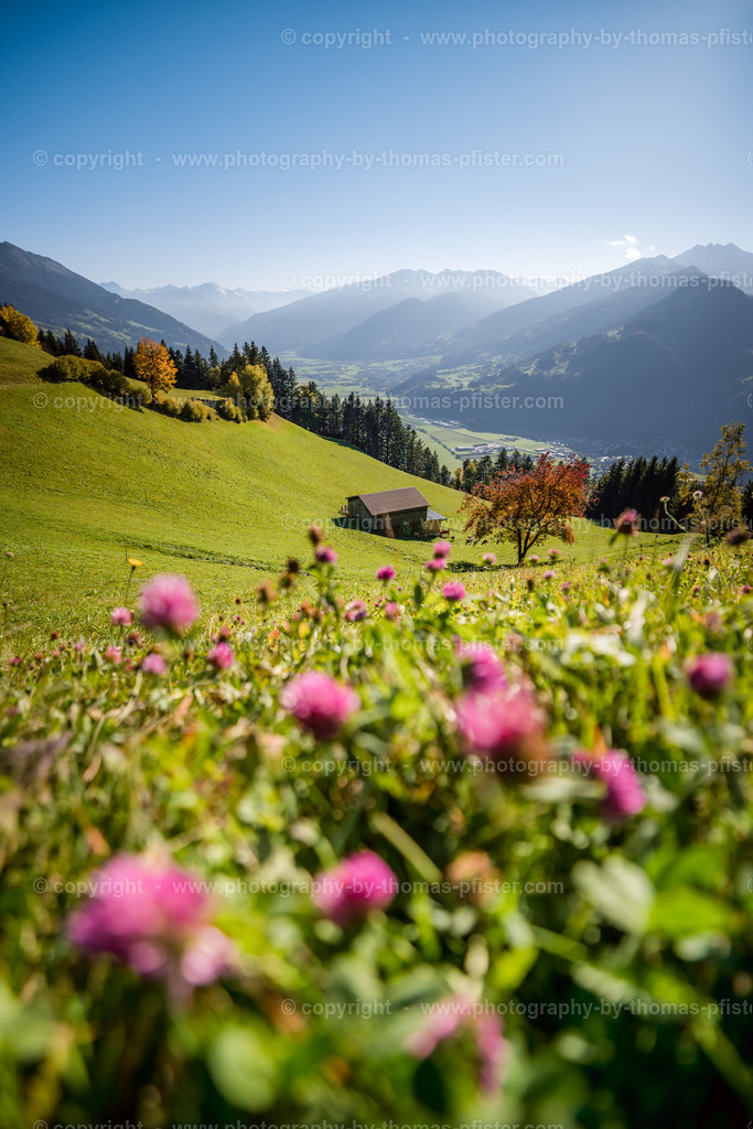 Bruckerberg Zillertalblick copyright  Thomas Pfister-4 | PHOTOGRAPHY BY THOMAS PFISTER