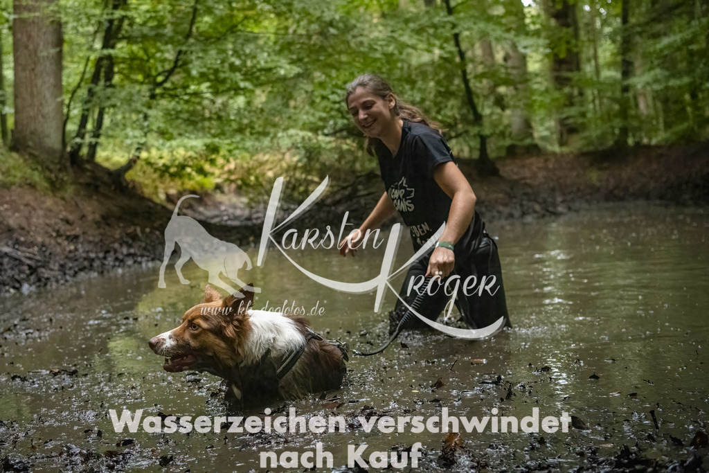 1159_ZZ90604-Bearbeitet-2 | kk-dogfotos
