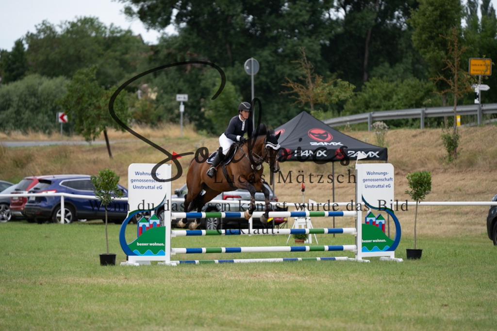 A7V01274 | Pferdefotograf