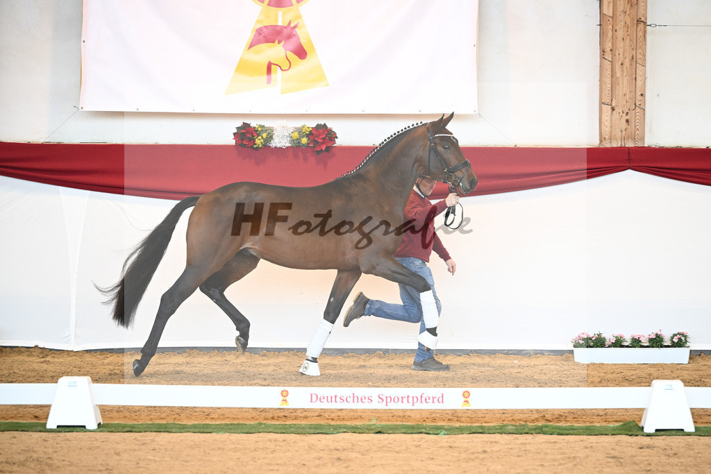 Kat-Nr. 40 Monte Carlo TC x Finest_Gestuet Greim_43230321 | hf-fotografie - Realisiert mit Pictrs.com