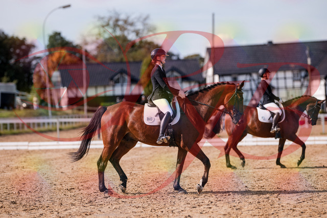 2026_10_03_Siefer-Hof_130840_Z81_61398280 | Professionelle Reitsport-, Turnier- und Eventfotografie von Robert Broda. Galerien mit ausgewählten und bearbeiteten Bildern direkt online ansehen und bestellen.
