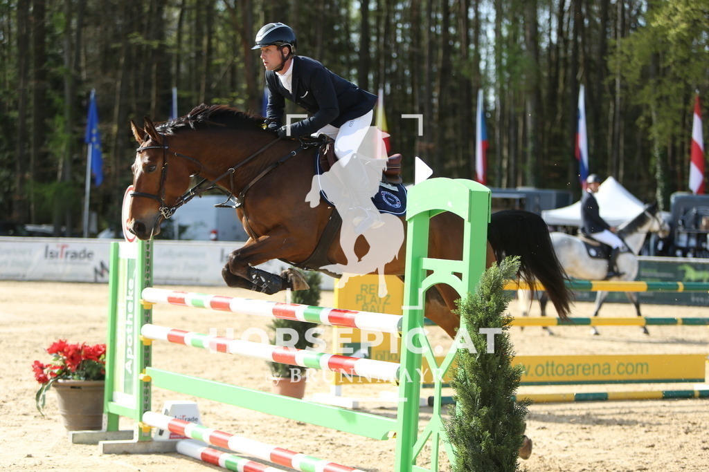 DL2Q3415 | Willkommen bei Brunnmayr - Design & Fotografie – Ihrem Spezialisten für Reitturniere und Pferdeveranstaltungen in Oberösterreich, Salzburg und Bayern! Seit über 17 Jahren sind wir leidenschaftlich dabei.