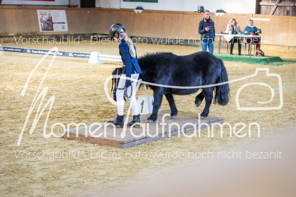 Sth-WBO25-Führ-WB-049 | MomenTaufnahmen Pferdesportfotos