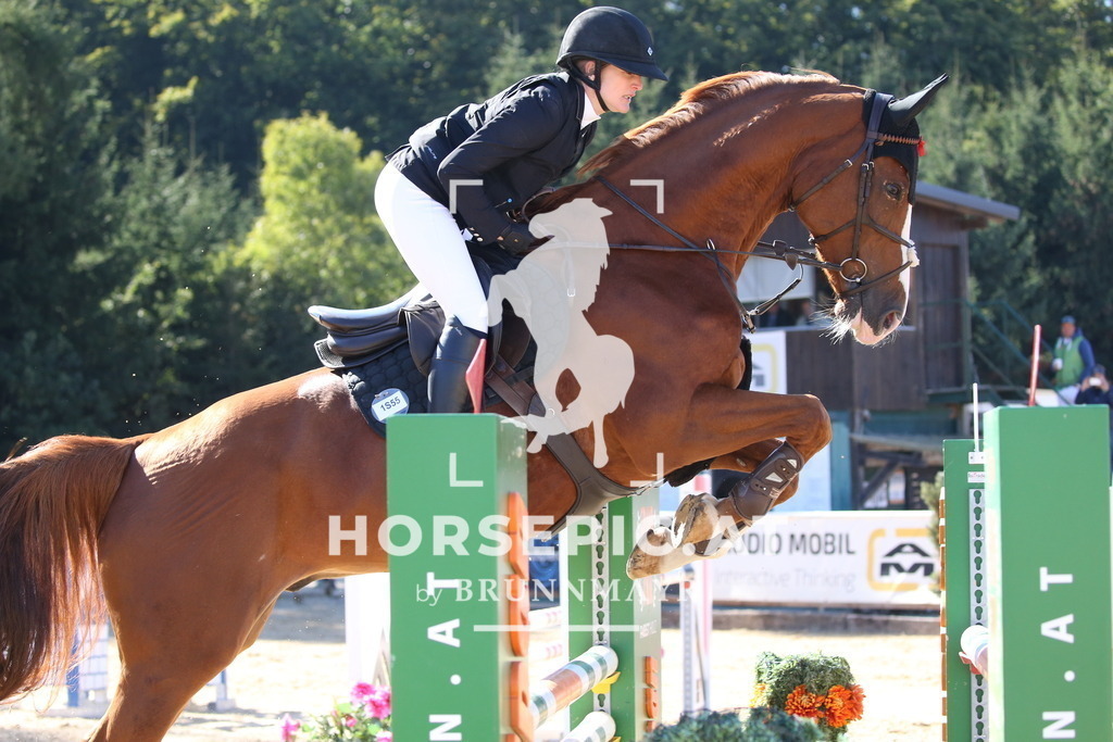 DL2Q3099 | Willkommen bei Brunnmayr - Design & Fotografie – Ihrem Spezialisten für Reitturniere und Pferdeveranstaltungen in Oberösterreich, Salzburg und Bayern! Seit über 17 Jahren sind wir leidenschaftlich dabei.