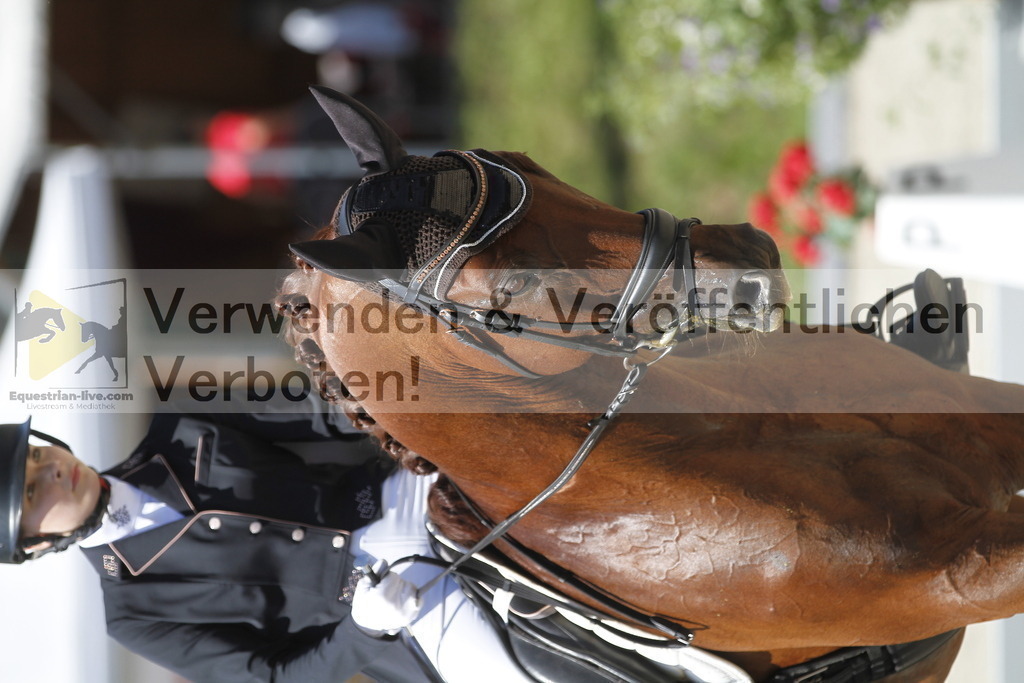 _MG_0108 | equestrian-live-com