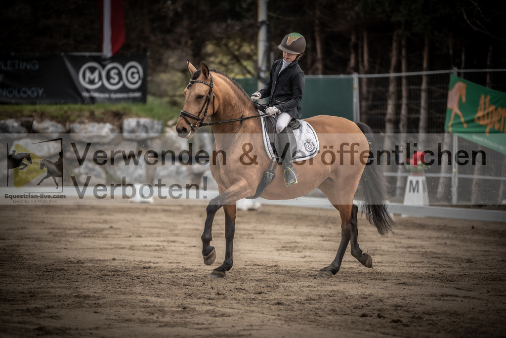 DSC_8416 | equestrian-live-com