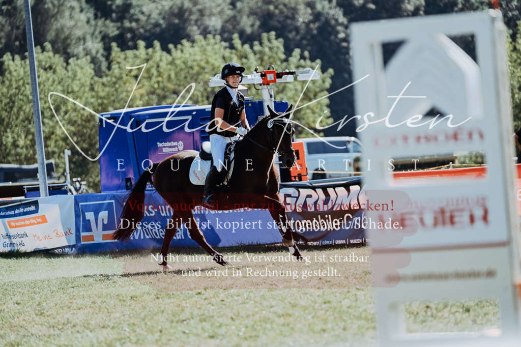 DSC_6660 | Pferde- und Turnierfotografie in Westsachsen. Pferdeportraits, Auftragszeichnungen und intuitive Kunst.