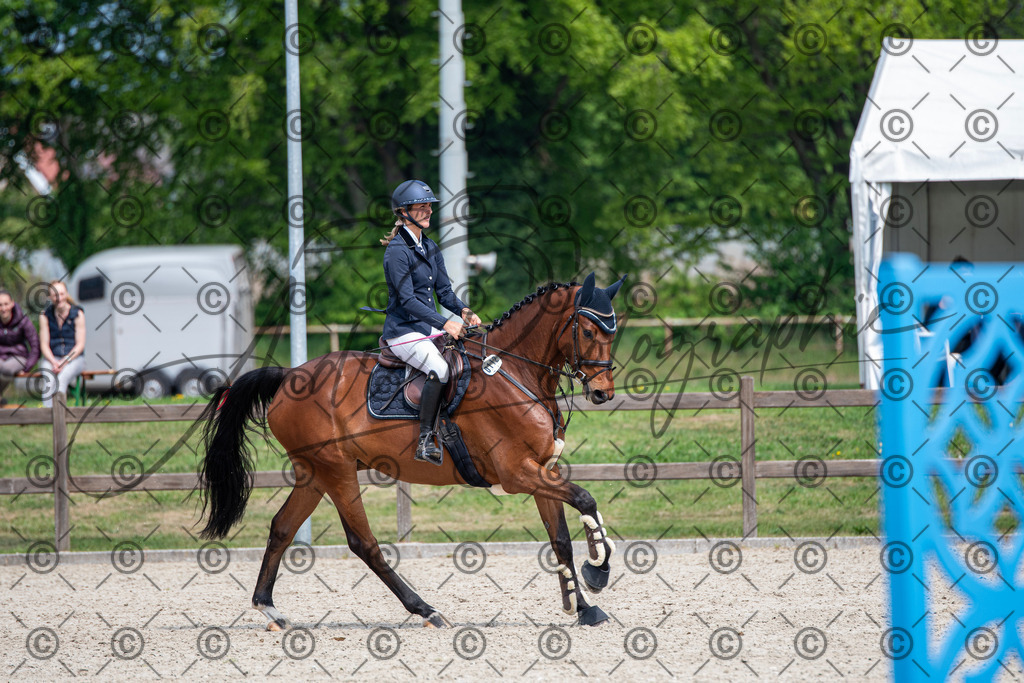 KPT_3330 | andre_photographic