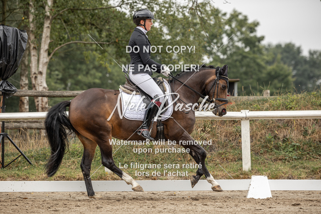 nelerasche_DrL_Ede_232 | nelerasche