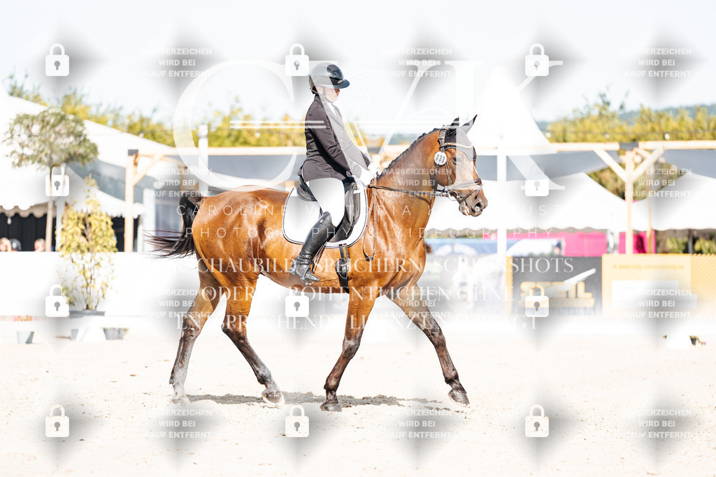 CK905707 | Turnierfotografie Pferdefotografie Trier Rheinland-Pfalz Pferdesport Reitsport Tierfotografie Sportfotografie Pferdevideo Pferdevideografie Equestrianvideography equestrianphotography  - Realisiert mit Pictrs.com
