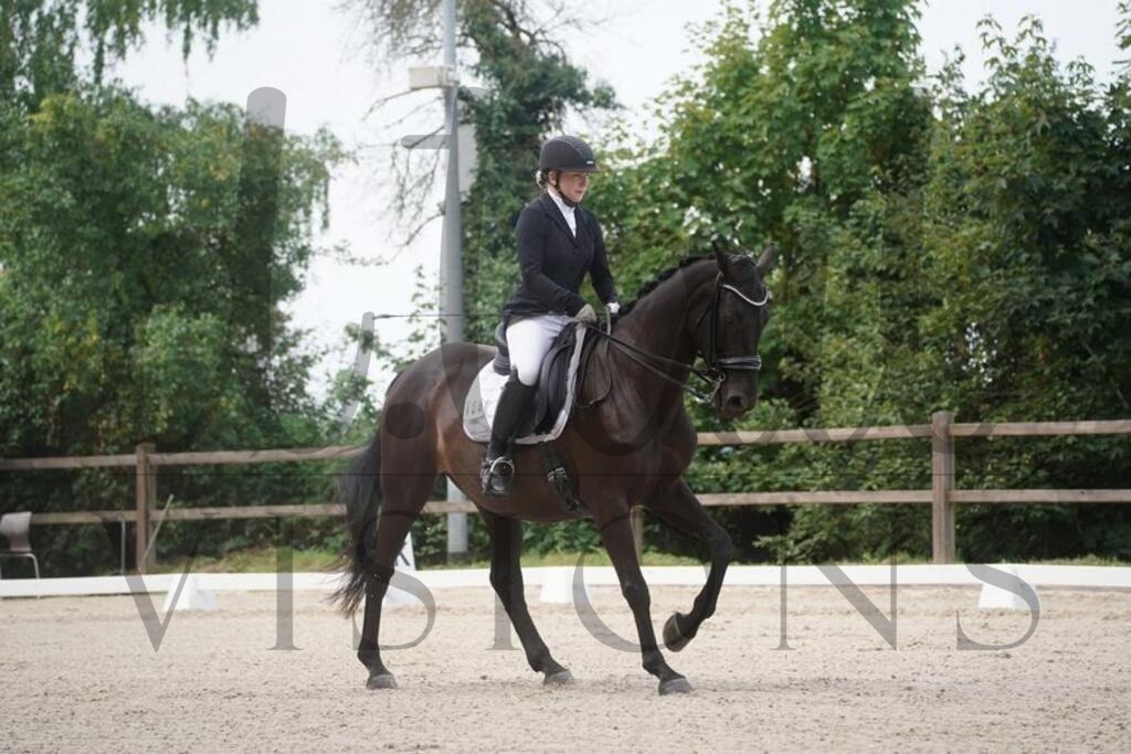 tbhsamstag (540) | d.tail Visions - Shop - Realisiert mit Pictrs.com