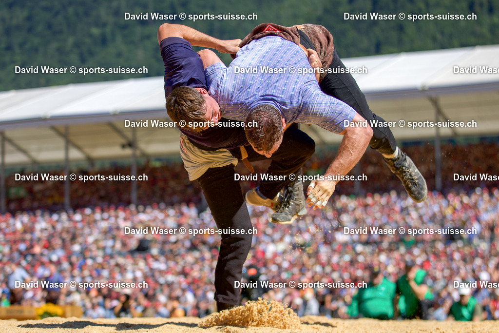 253008 Moser Michael __ - Orlik Armon ___ _ L_Eidg. Schwing- und Älplerfest (ESAF) Glarnerland+_ Mollis_ le 30.08.2025 (3) | 253008 Moser Michael ** - Orlik Armon *** à L'Eidg. Schwing- und Älplerfest (ESAF) Glarnerland+, Mollis, le 30.08.2025