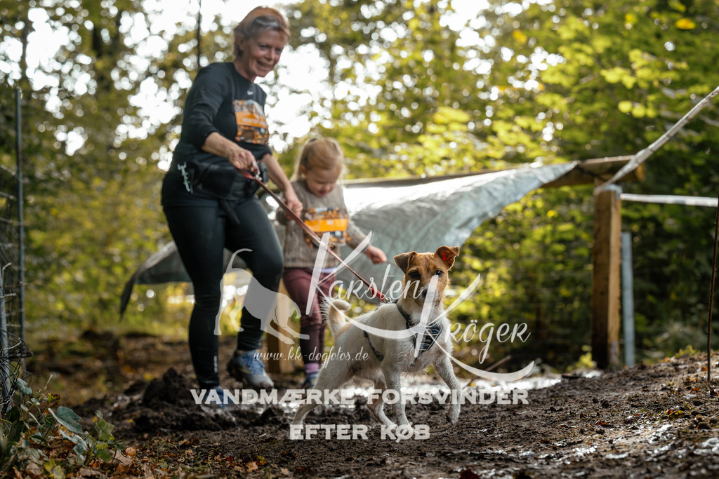 1452DZ6_3682Z6 | kk-dogfotos