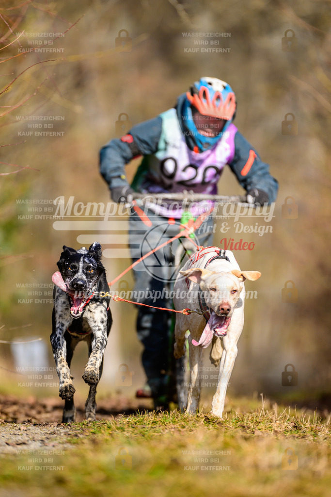 MompixPhotography_Schwabentrail2025_SO_DS2-31 | PayLife