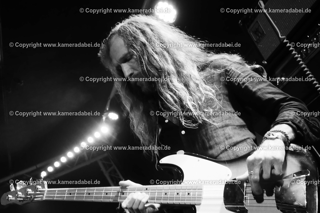 Konzert : Impala Spring am 14.11.2025 im Rare Guitar Münster | Konzert : Impala Spring am 14.11.2025 im Rare Guitar Münster - Realisiert mit Pictrs.com