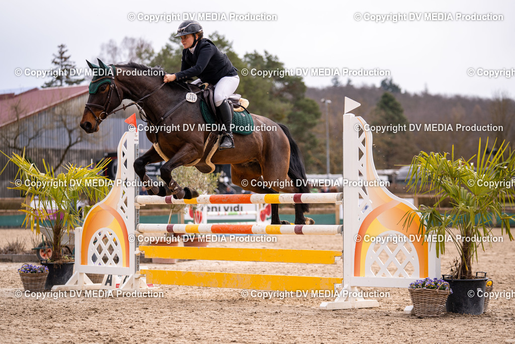 Kranichstein Tag 2-641 | dv-media-shop - Realisiert mit Pictrs.com