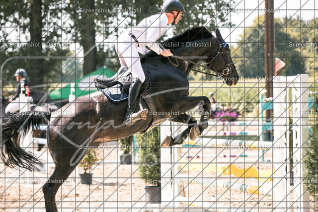 _W6A1131 | ronjaprokoschfotografie - Realisiert mit Pictrs.com