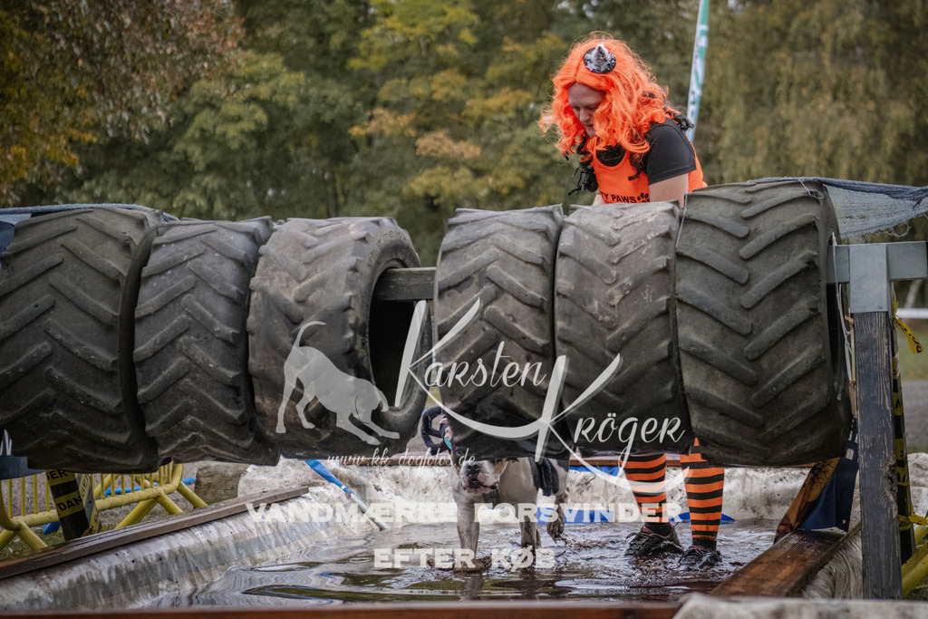 1700_ZZ94615 | kk-dogfotos