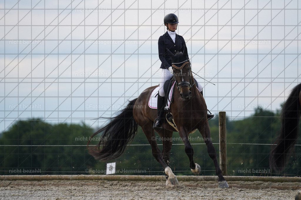 20230826-FAH04463 | Forstinning, 2023, Dressurturnier, Turniersportbilder, Turnierfotografen Bayern, Fotoagentur Herrmann, Reitsportfotografie, Turnierbilder