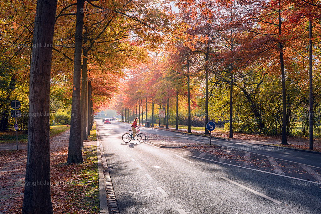 _DSC8086 | Leipzig Wandbilder Drucke Prints Leinwand Stadtmotive Leipzig Fotosdruck Kunstdrucke Bilder Leipzig Stadtansichten Acrylglasbilder Leipzig Wanddeko Fine Art Prints Wandbilder Büro Leipzig Bilder Praxis Zuhause Bilderdruck Poster Posterlounge Kunstdrucke - Realisiert mit Pictrs.com
