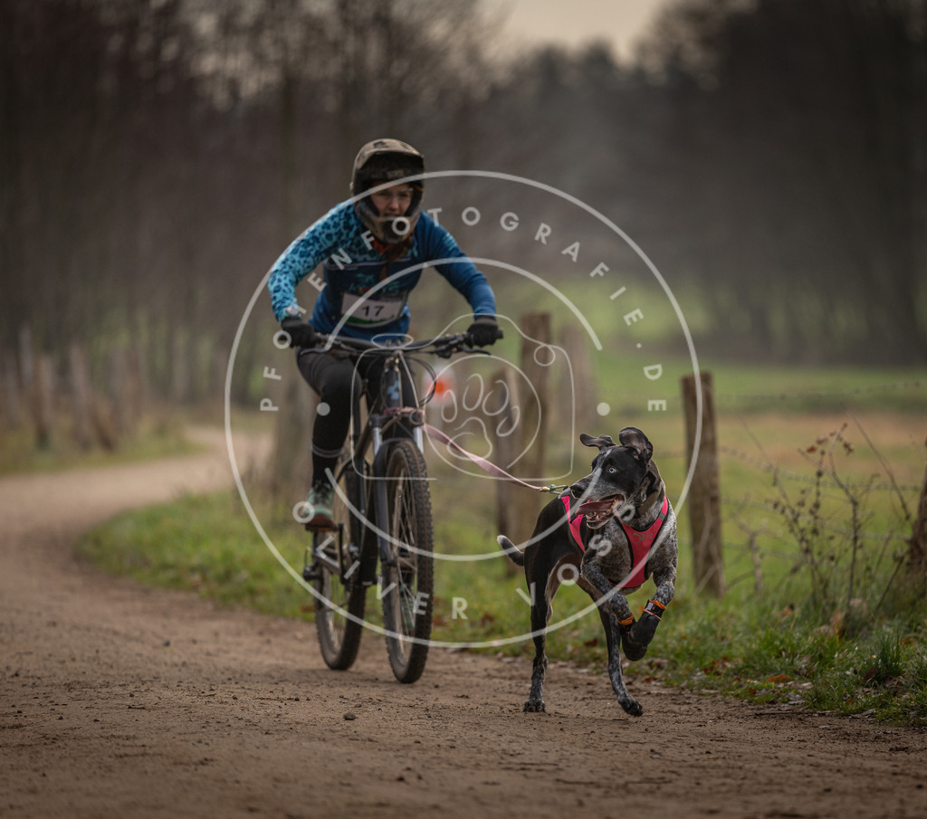 Pfotenfotografie_DV3A1898 | Hundefotografie, Tierfotograf, Pfotenfotografie, Fotoshooting Hund, Hunde Portrait, Hundesport, Hundeportraits, Heideshooting, Hunde, Sportfotograf, Hundefotograf, Turnierhundsport, THS,  - Realisiert mit Pictrs.com
