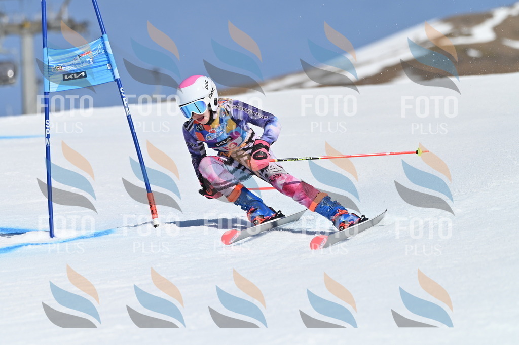 BGV_8786 | holidayphoto