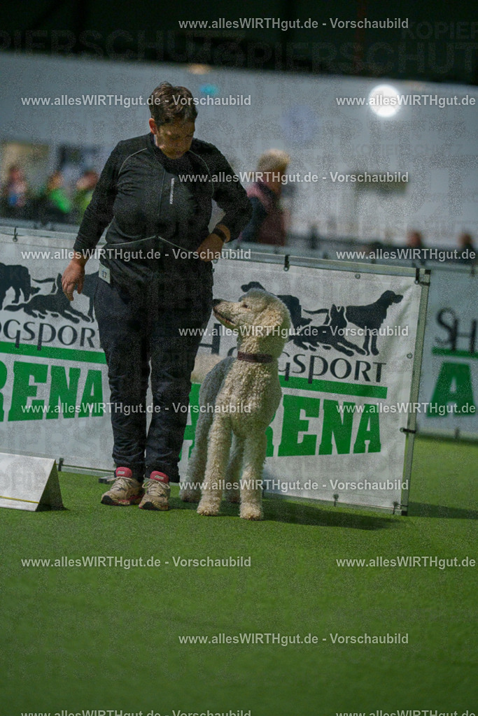 7R505510 | Professionelle Tierfotografie in Mönchengladbach von Daniel Wirth (allesWIRTHgut). Liebevolle & natürliche Bilder von Hunden & Katzen für unvergessliche Erinnerungen.