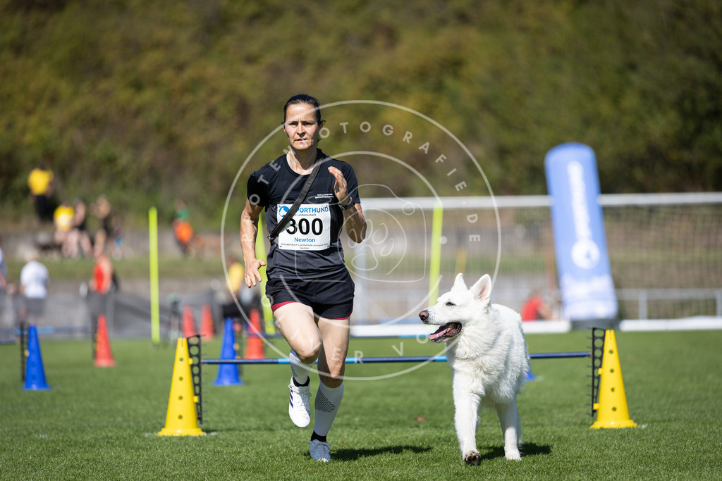 Pfotenfotografie_DV3A7771 | Hundefotografie, Tierfotograf, Pfotenfotografie, Fotoshooting Hund, Hunde Portrait, Hundesport, Hundeportraits, Heideshooting, Hunde, Sportfotograf, Hundefotograf, Turnierhundsport, THS,  - Realisiert mit Pictrs.com