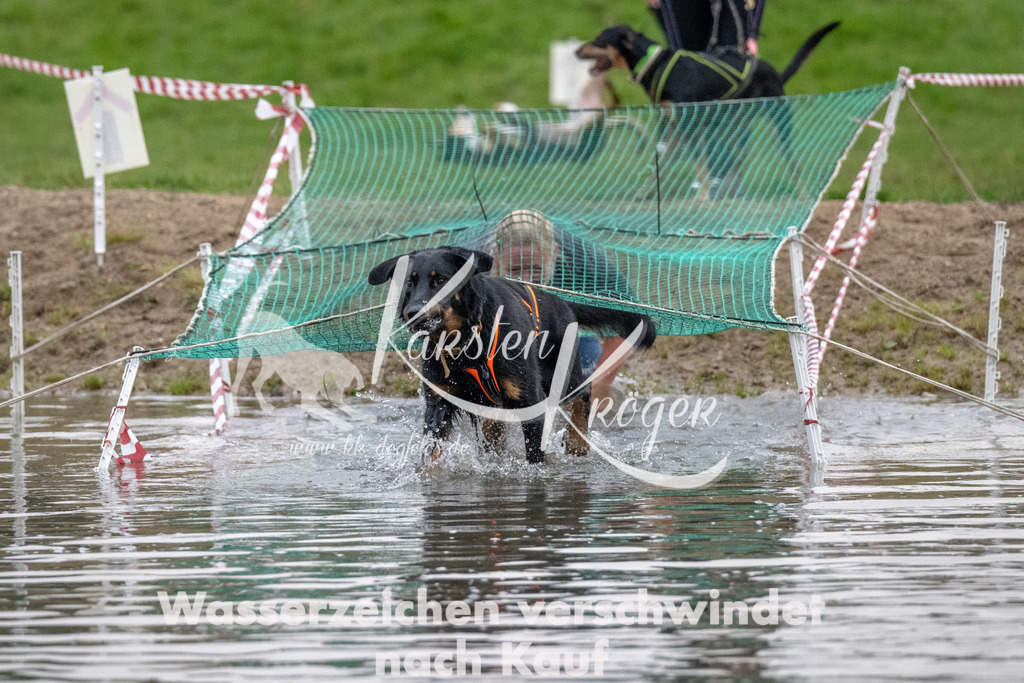 0818_ZZ90738 | kk-dogfotos