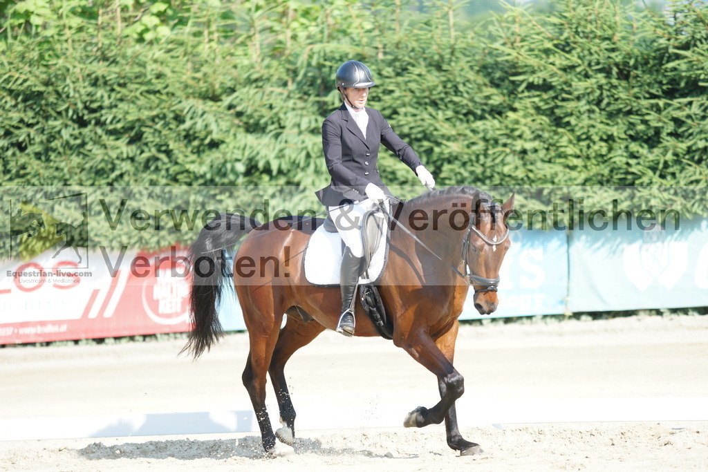 DSC01326 | equestrian-live-com