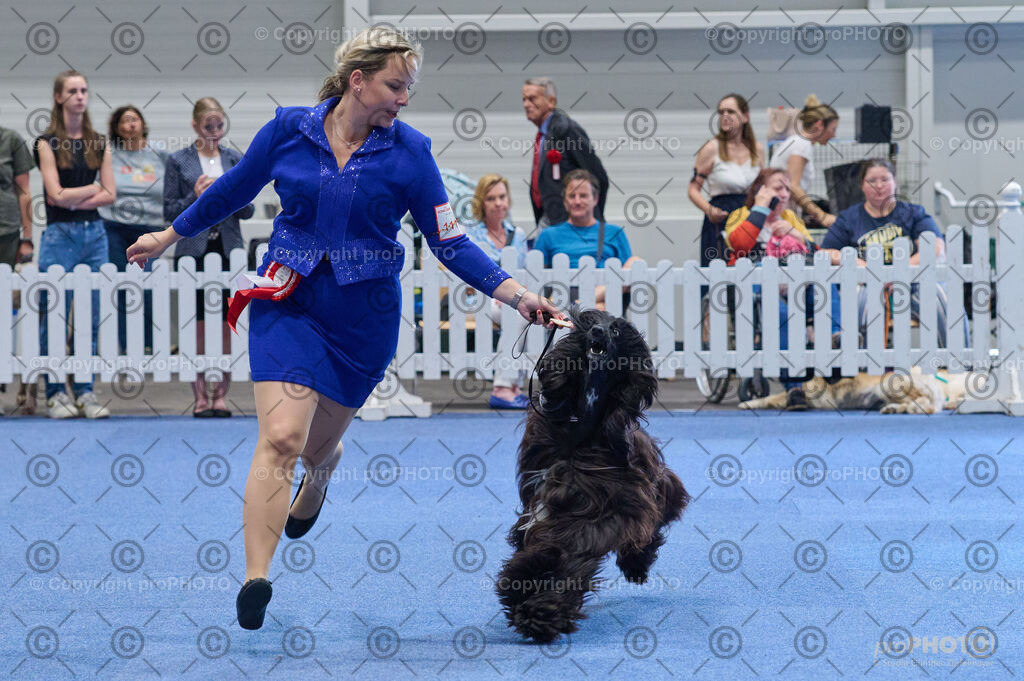 202406_ÖKV-IHA-Tulln24_DSC_5196 | proPHOTO - Realisiert mit Pictrs.com