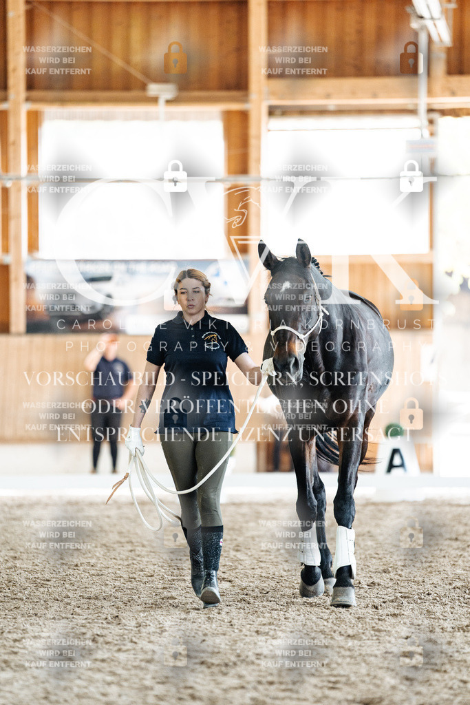 CK908056 | Turnierfotografie Pferdefotografie Trier Rheinland-Pfalz Pferdesport Reitsport Tierfotografie Sportfotografie Pferdevideo Pferdevideografie Equestrianvideography equestrianphotography  - Realisiert mit Pictrs.com