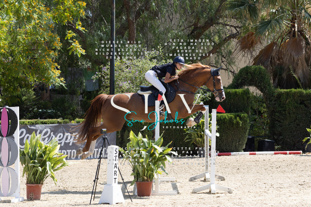 IMG_3737 | s-jay-photography - Realisiert mit Pictrs.com