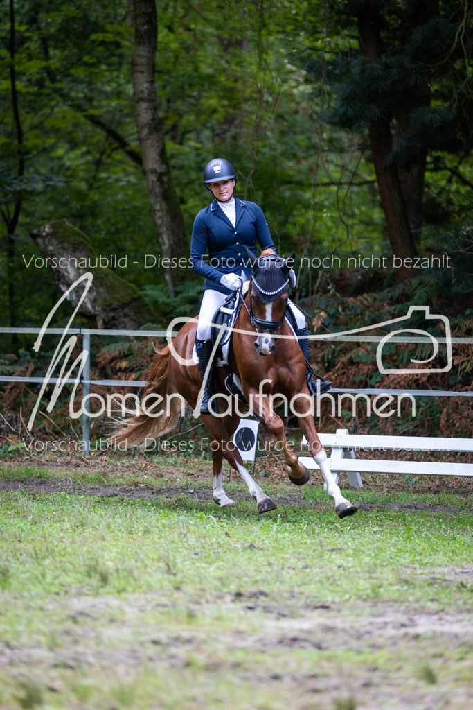 HB-A-Dressur-183 | MomenTaufnahmen Pferdesportfotos