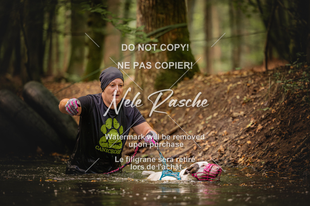 nelerasche_SaWingst0845-1000_118 | nelerasche