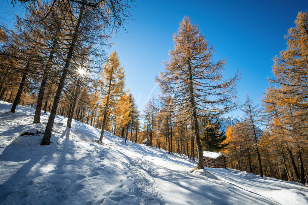 Eulenwiesen | Herbst bei den Eulenwiesen