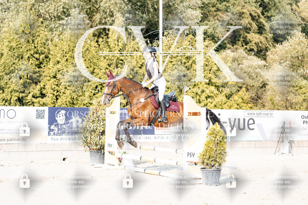 CK902849 | Turnierfotografie Pferdefotografie Trier Rheinland-Pfalz Pferdesport Reitsport Tierfotografie Sportfotografie Pferdevideo Pferdevideografie Equestrianvideography equestrianphotography  - Realisiert mit Pictrs.com