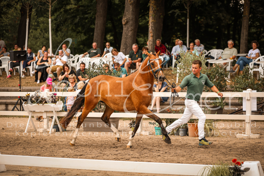 08.So00025 | Leoni Ertmer Photography - Realisiert mit Pictrs.com