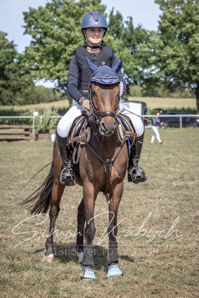 20250907-_3LI0206 | Tierfotografie Pferde, Hunde, Katzen, Haustiere.
Turnierfotografie Reitturniere, Reiten, Springreiten, Dressur in Hanau, dem Main-Kinzig-Kreis und dem Rhein-Main- Gebiet um Frankfurt