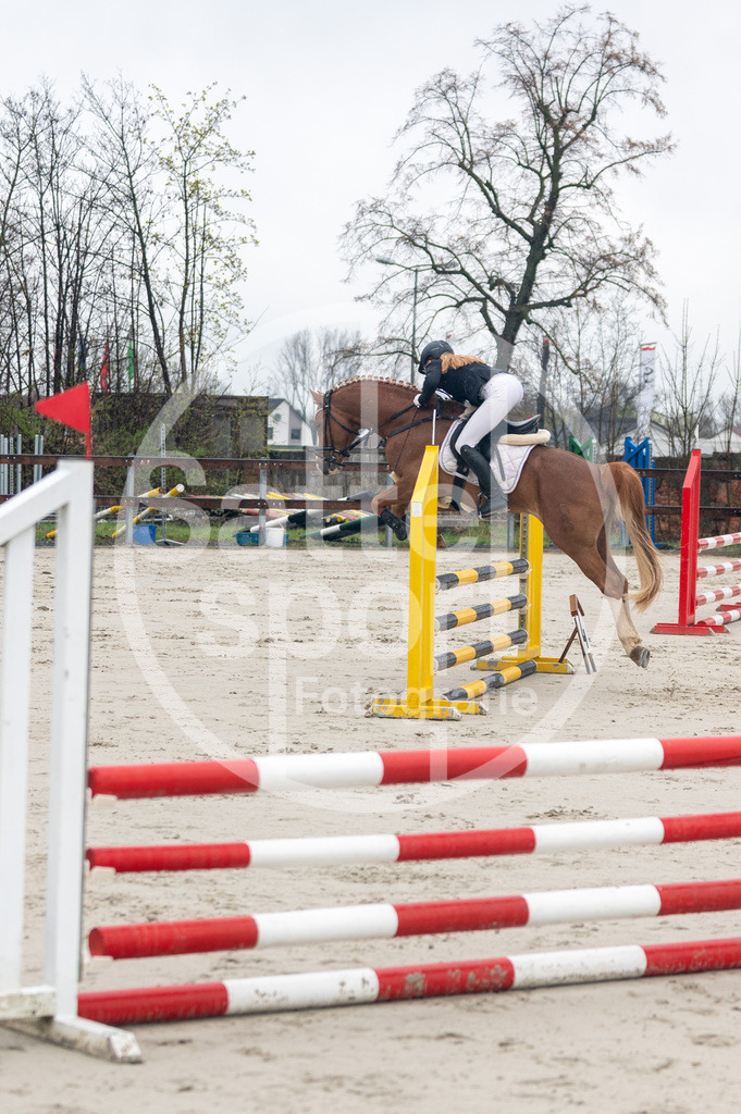 DSC_8309 | sattelsport - Realisiert mit Pictrs.com