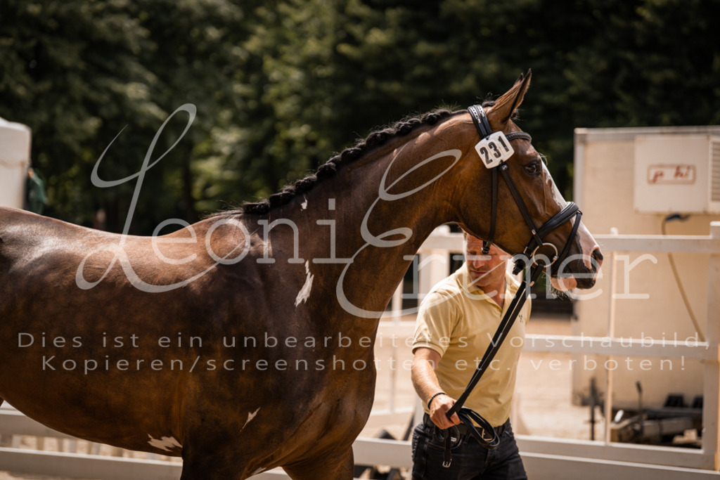 2. Fr00187 | Leoni Ertmer Photography - Realisiert mit Pictrs.com