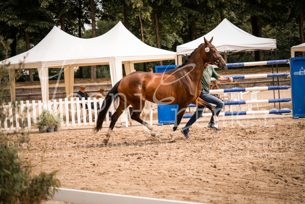 6.Fr00086 | Leoni Ertmer Photography - Realisiert mit Pictrs.com