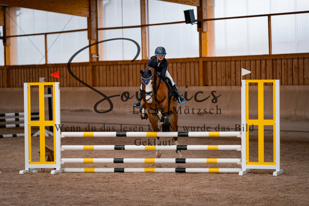 A7507410 | Pferdefotograf