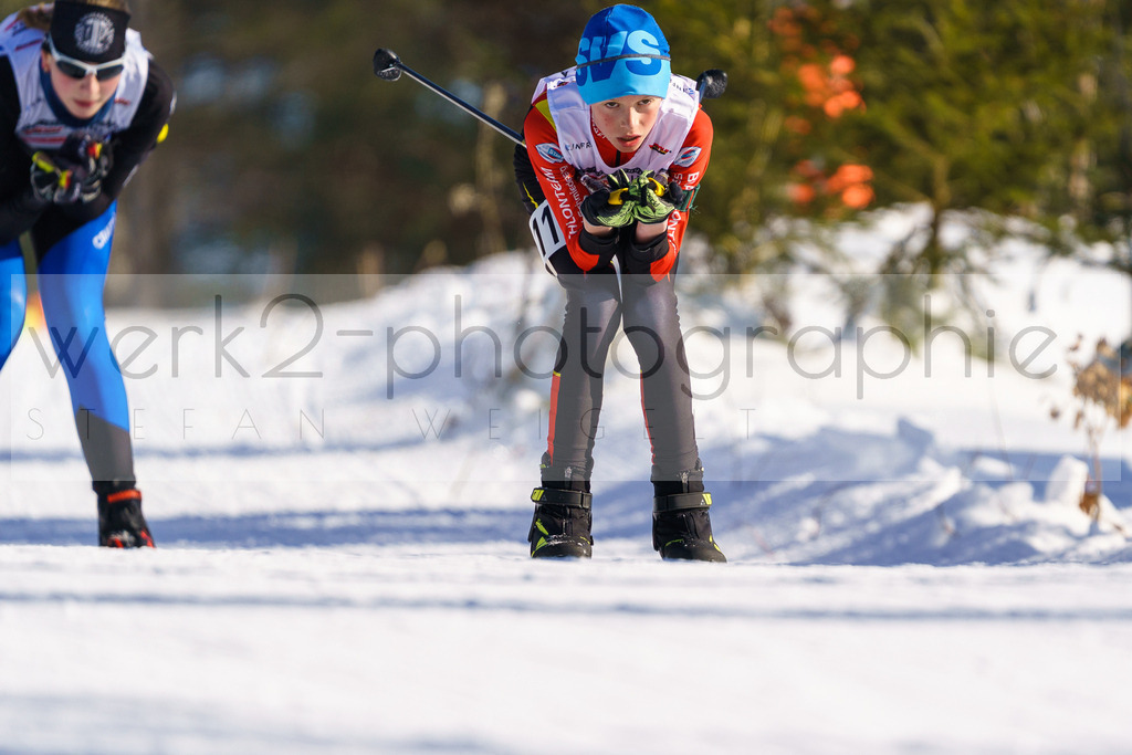 DSC Arber | Bayerischer Wald am 9. bis 12. Februar 2023
