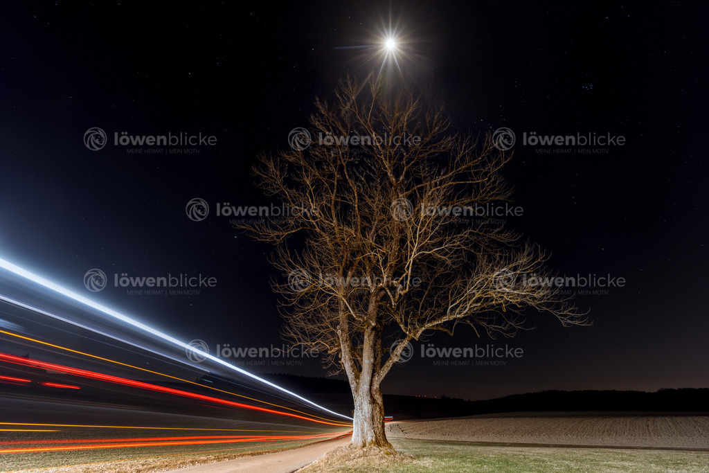 Spuren der Nacht | löwenblicke | shop